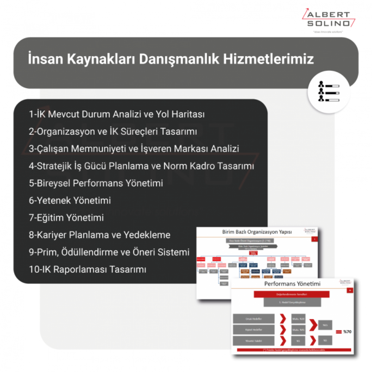 Albert Solino Danışmanlık ve Yazılım 3 