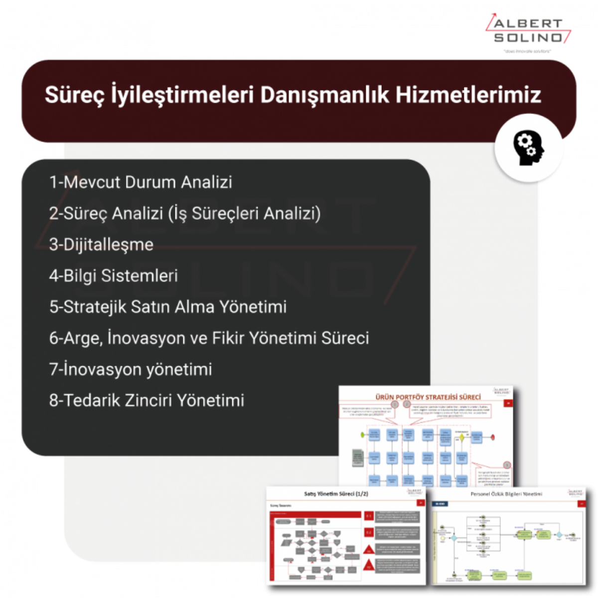 Albert Solino Danışmanlık ve Yazılım 5 