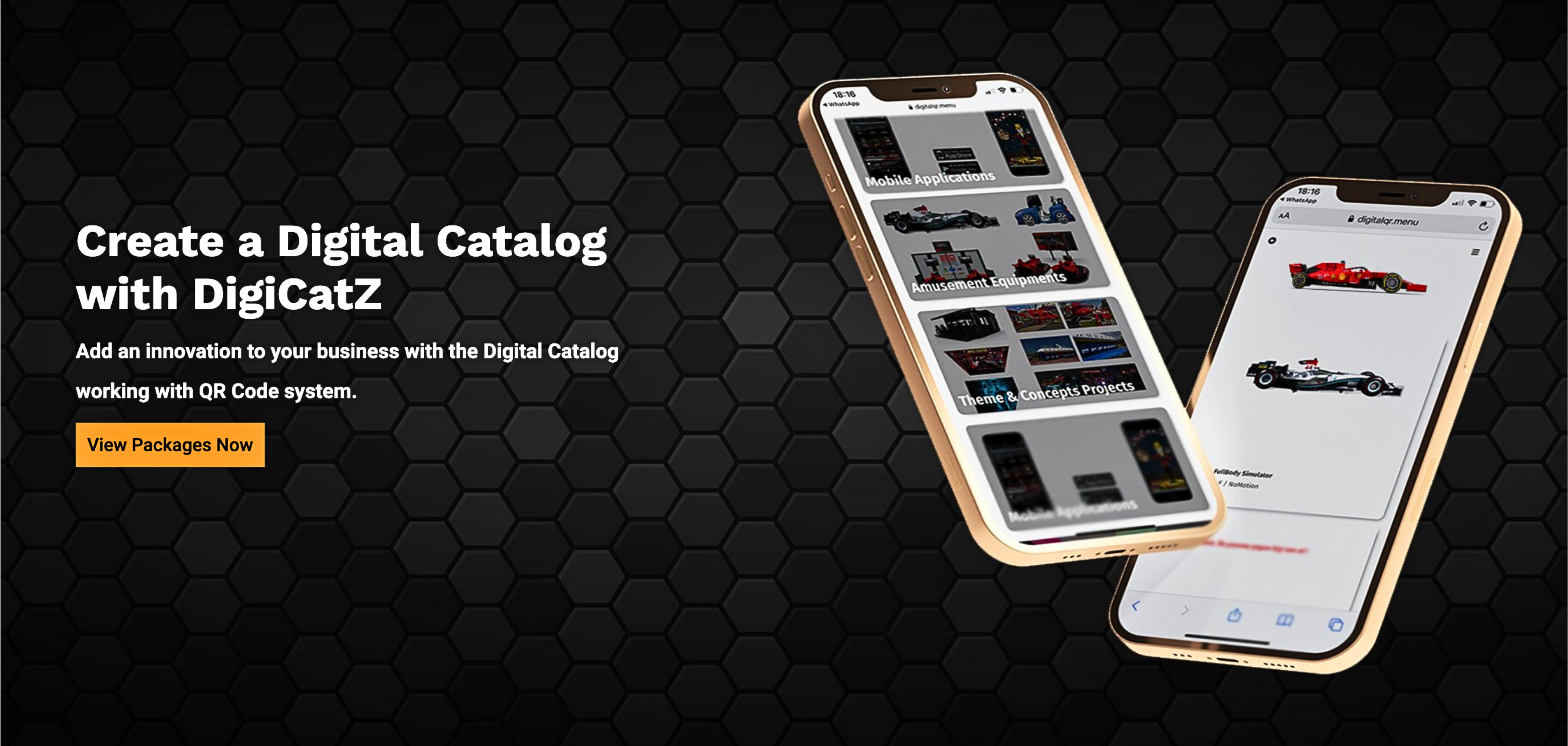 DigiCatZ