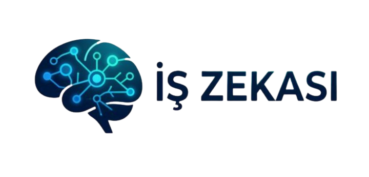 Omega İş Zekası Raporlama Modülü