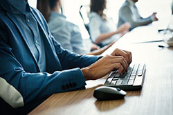 Web Sitesi & Domain Çözümleri