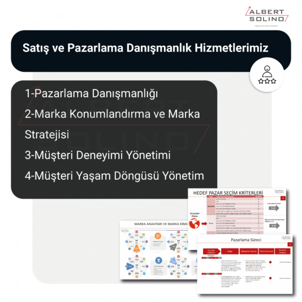 Albert Solino Danışmanlık ve Yazılım 4 