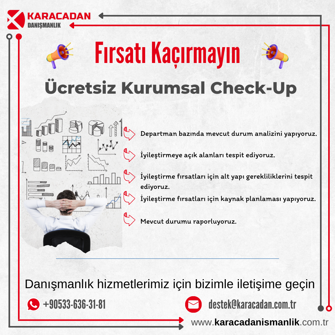 Yönetim Bilişim Danışmanlığı