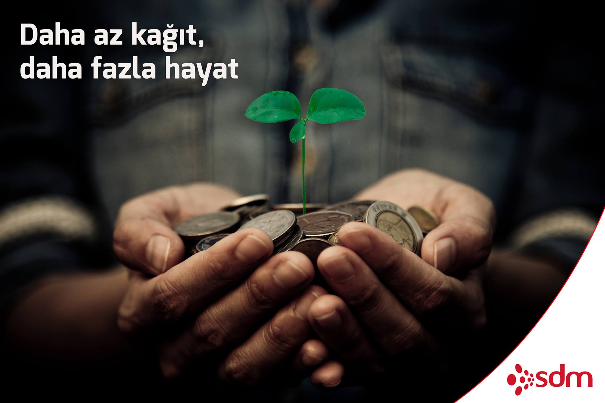 Dijital B2B Yönetim Sistemi