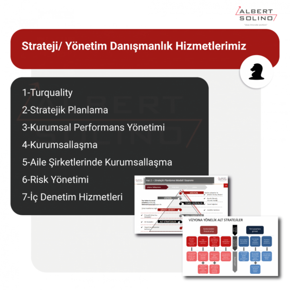 Albert Solino Danışmanlık ve Yazılım 2 