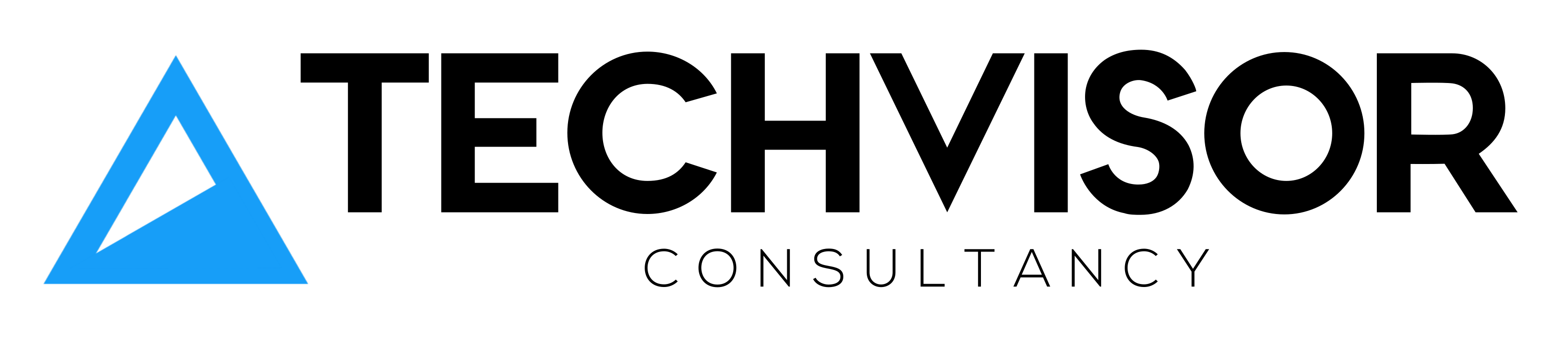 Techvisor Danışmanlık Tic Ltd Şti Logo