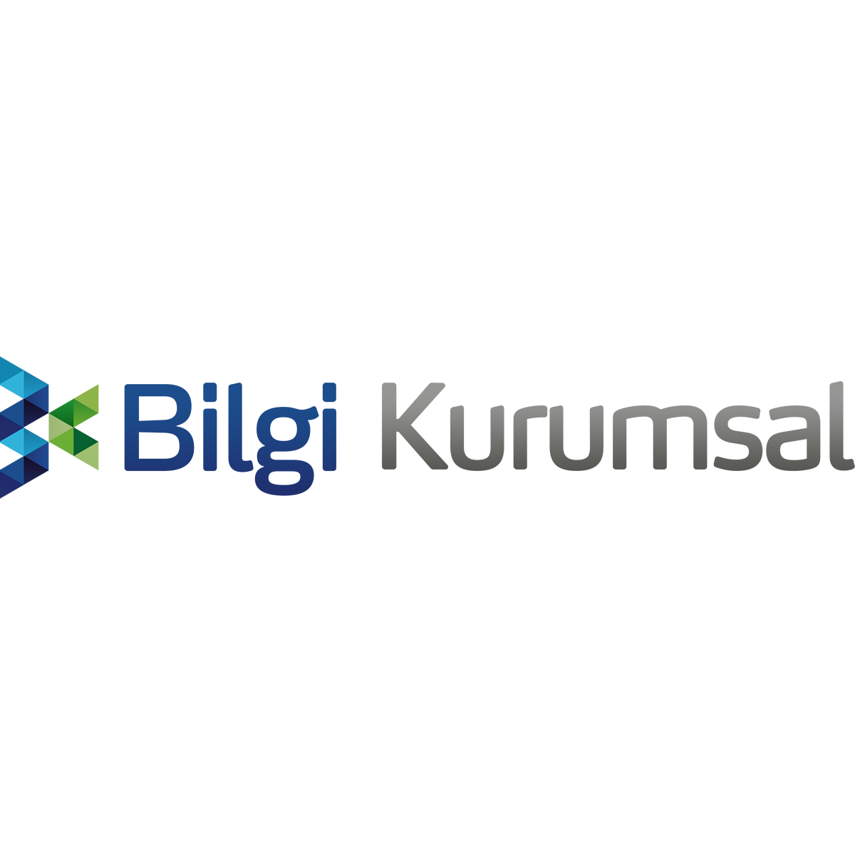 Kurumsal Web Sitesi