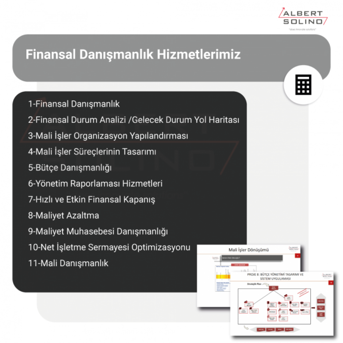 Albert Solino Danışmanlık ve Yazılım 6 